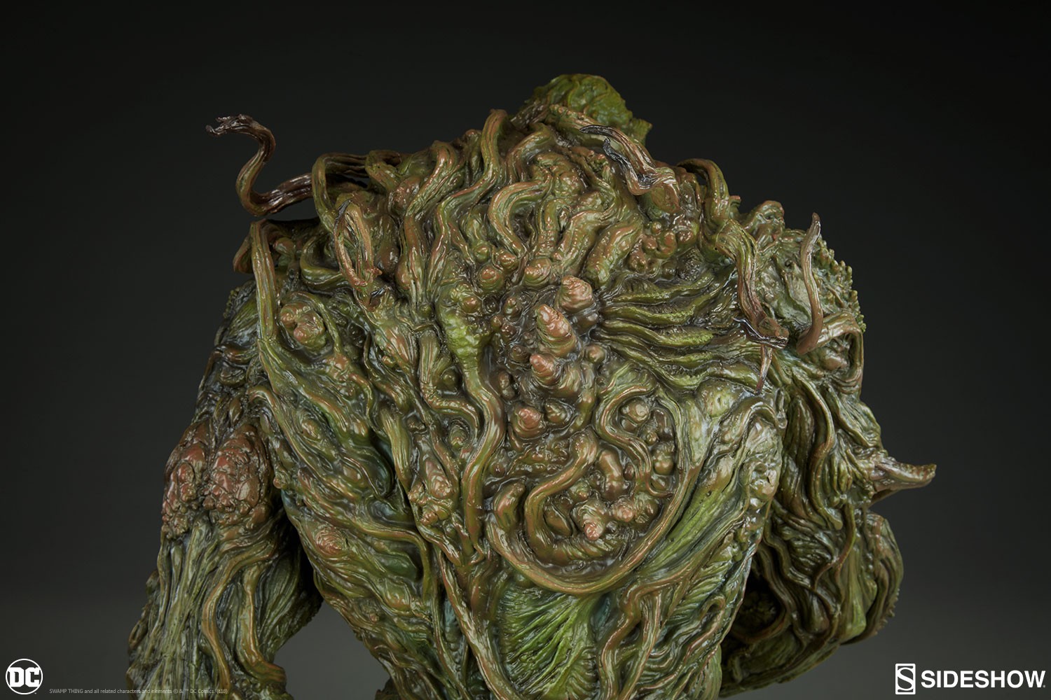 Swamp Thing Collector Edition View 30