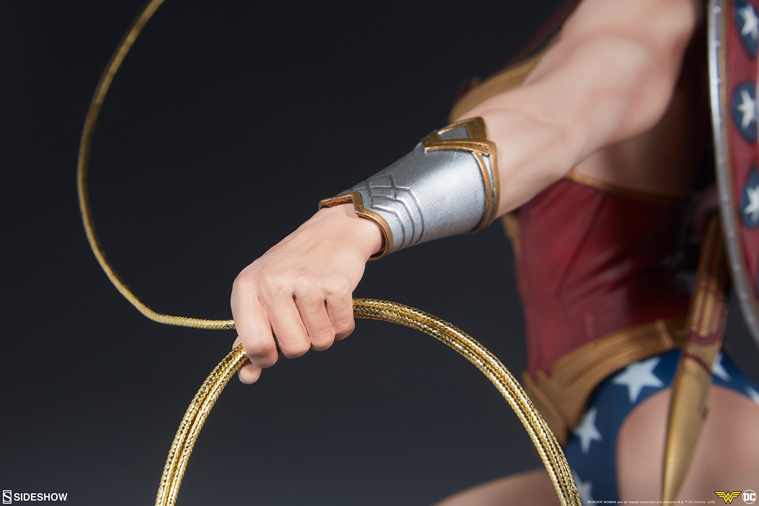 Wonder Woman Exclusive Edition View 19