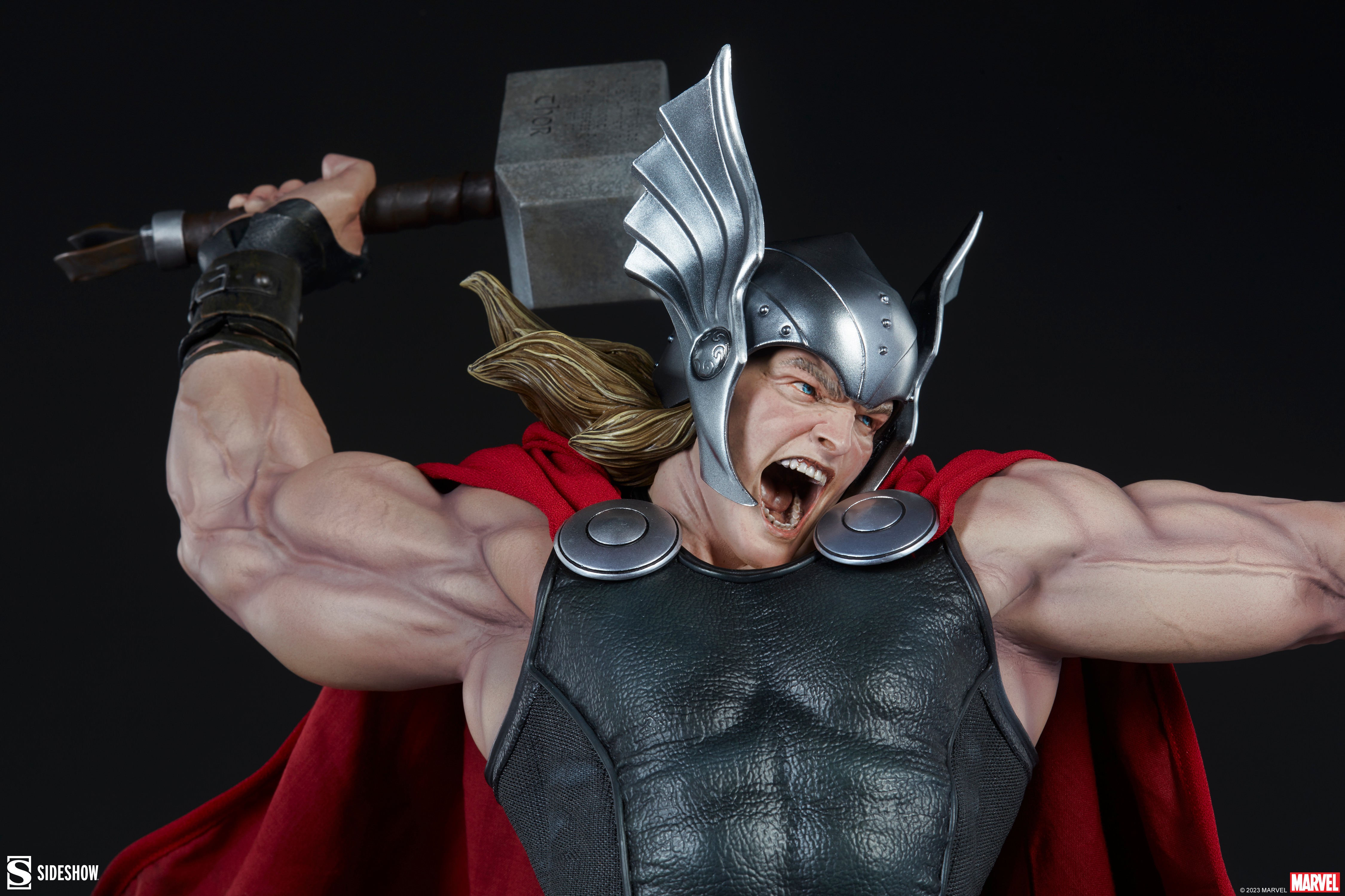 Thor Collector Edition View 14