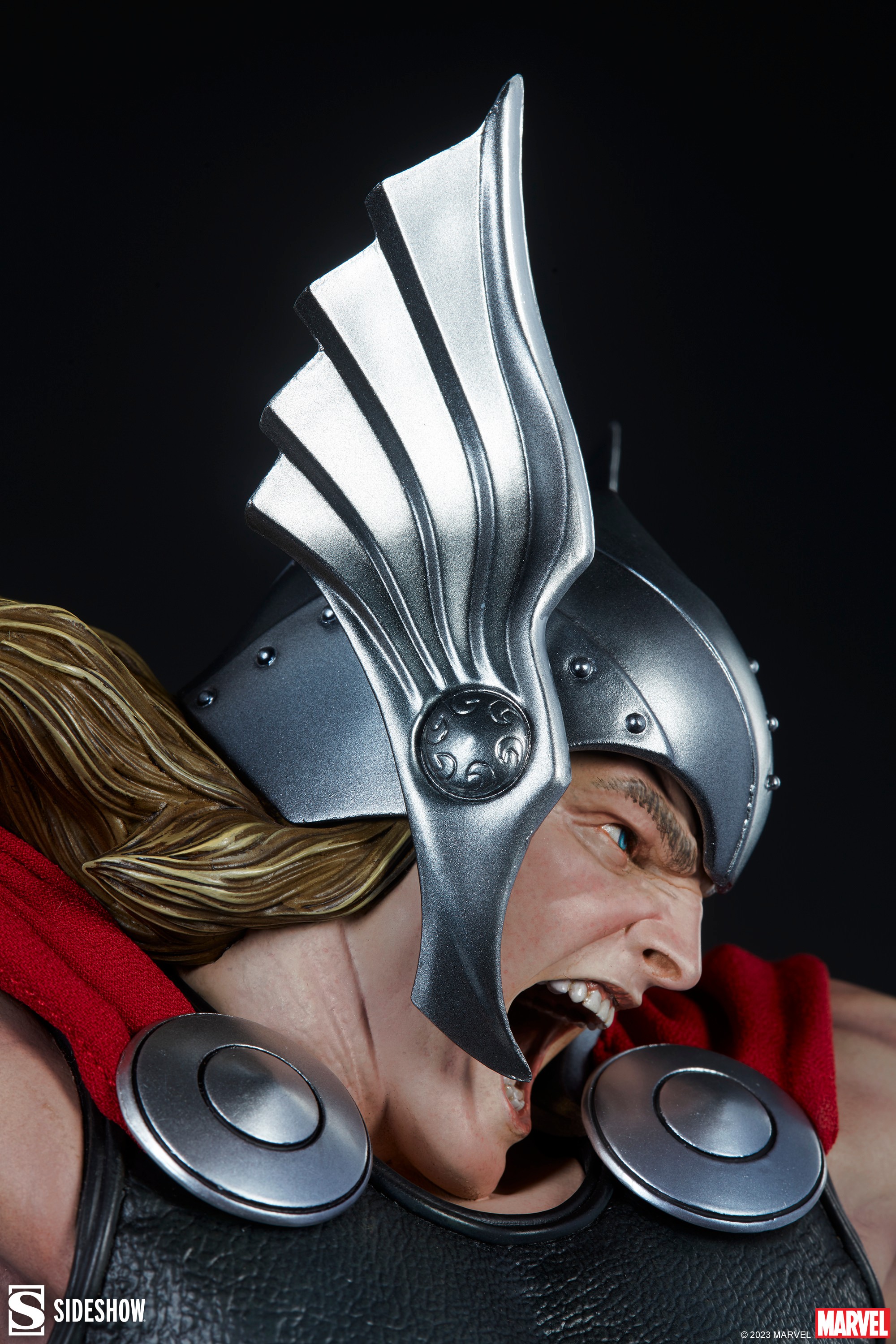 Thor Collector Edition View 16