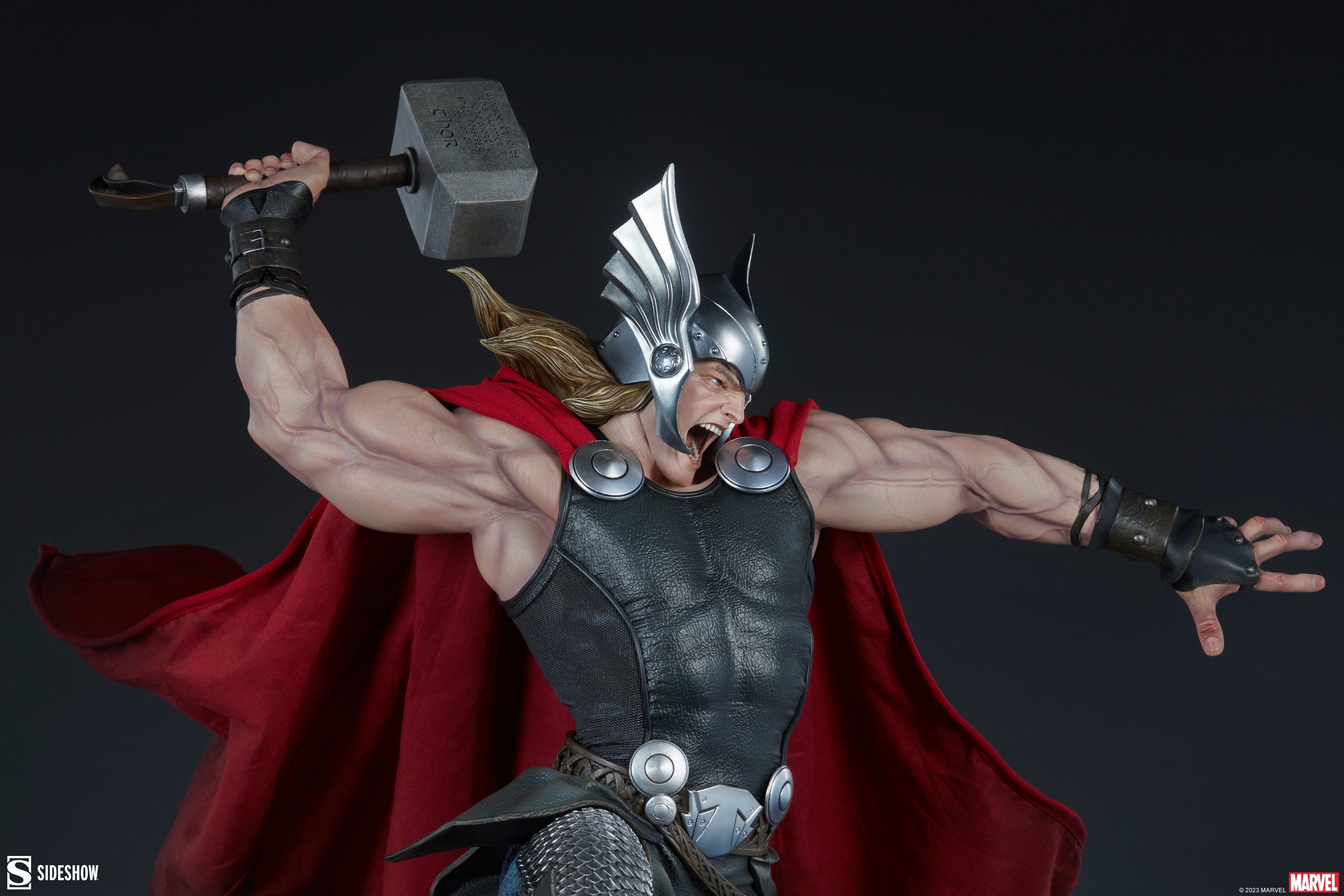 Thor Collector Edition View 21