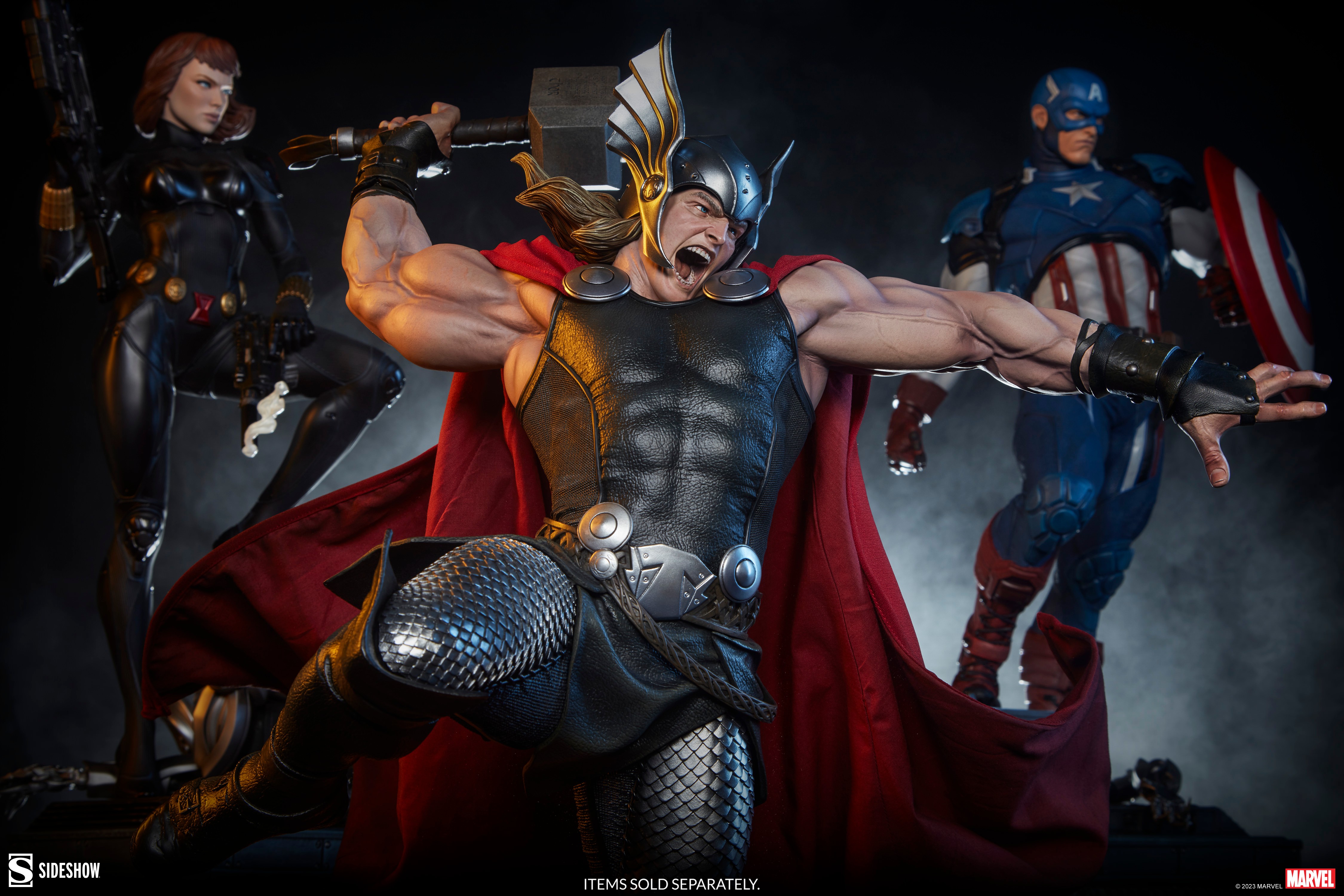 Thor Collector Edition View 38