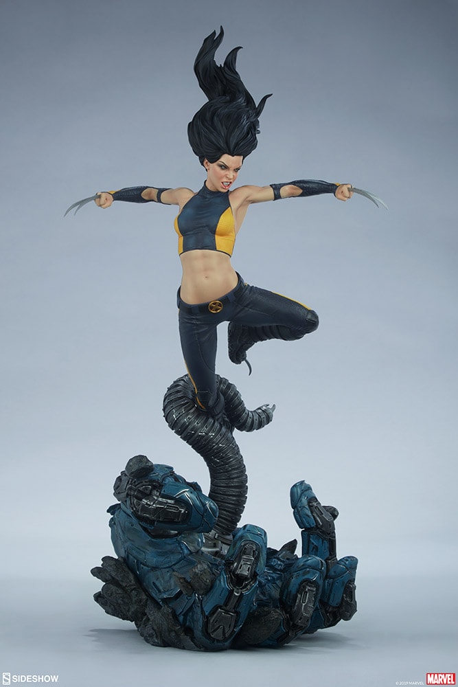 X-23 Collector Edition View 17