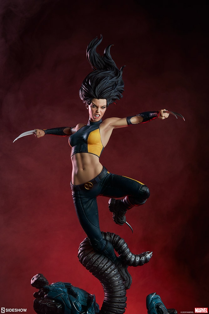 X-23 Collector Edition View 14