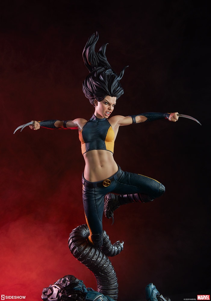 X-23 Collector Edition View 16
