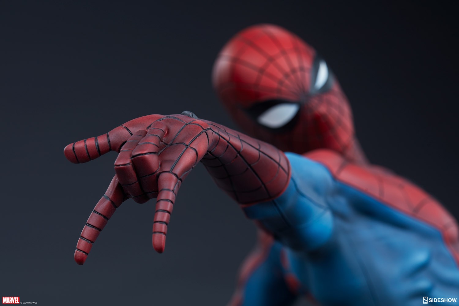 Spider-Man Exclusive Edition View 23