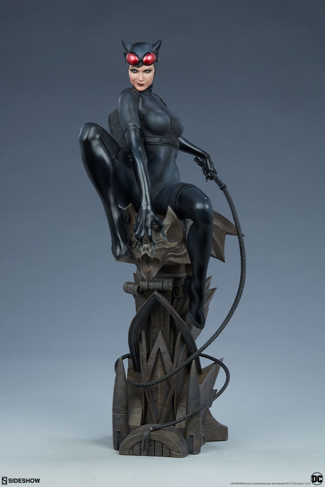 Catwoman Exclusive Edition View 35