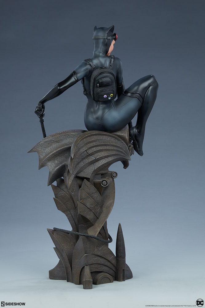 Catwoman Collector Edition View 27