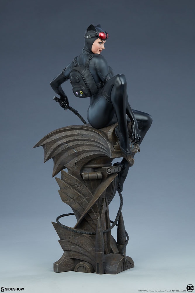 Catwoman Collector Edition View 26