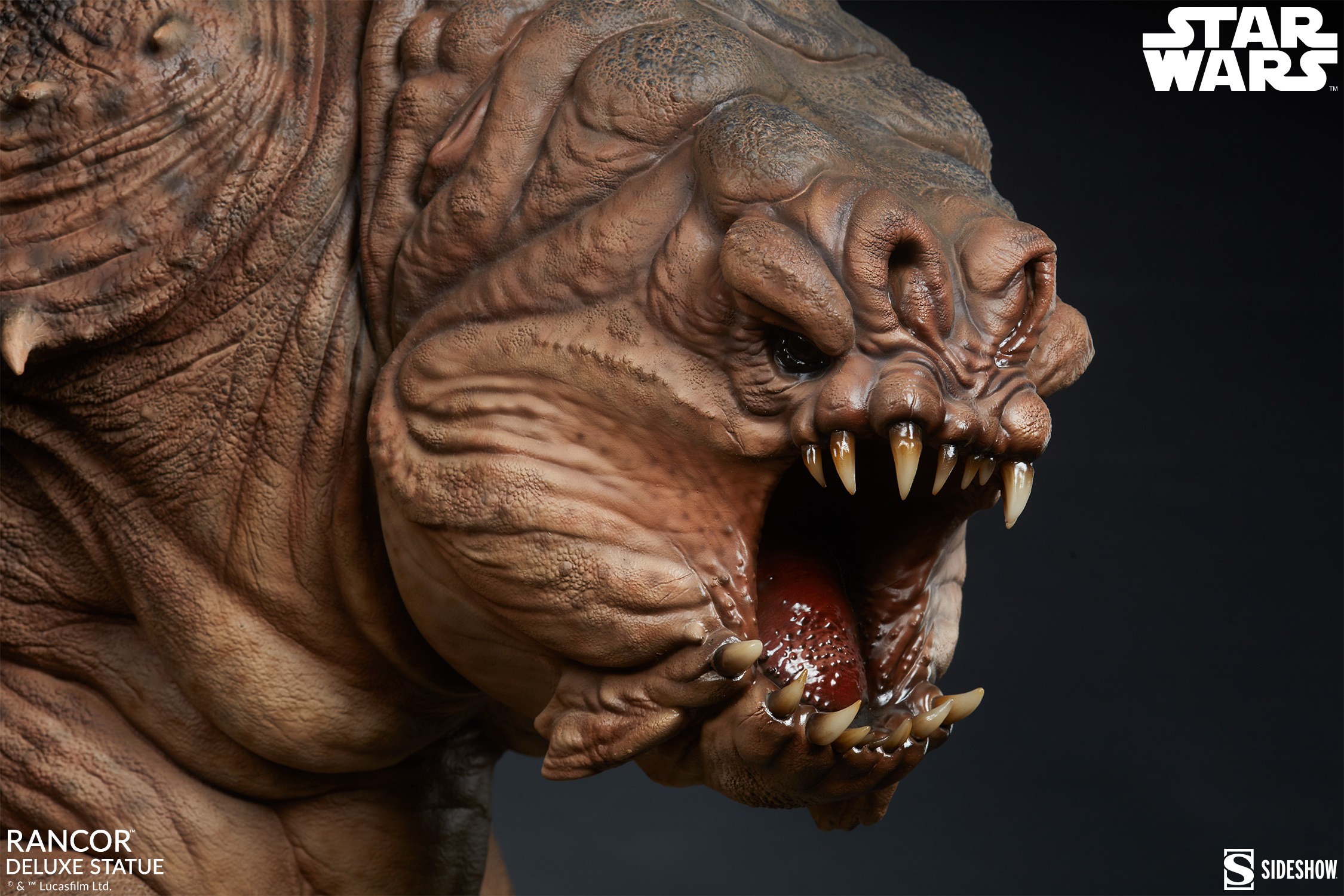 Rancor™ Deluxe Statue View 14