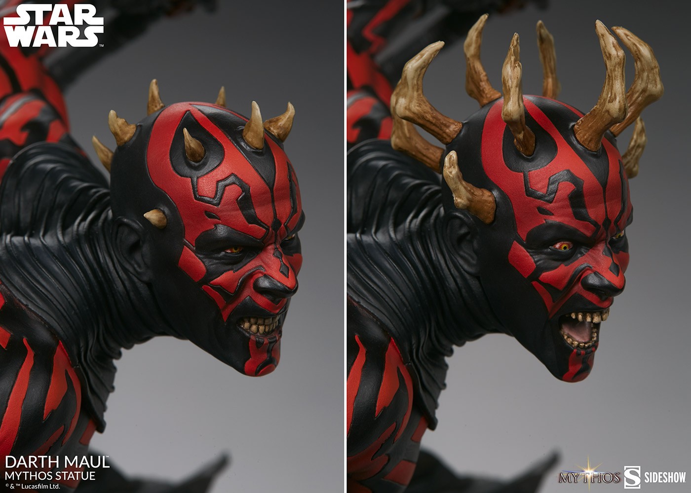 Darth Maul™ Mythos View 17