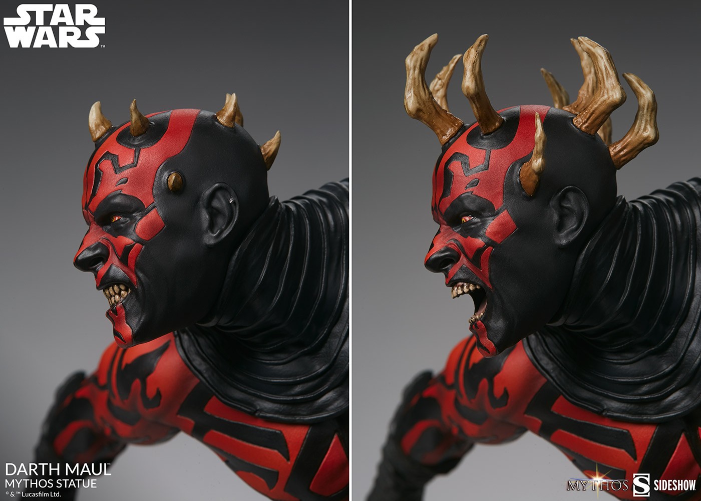 Darth Maul™ Mythos View 18