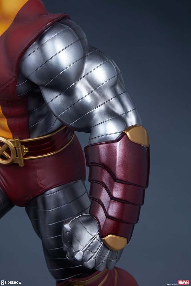 Colossus Collector Edition View 15