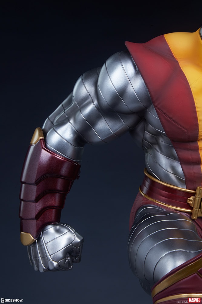 Colossus Collector Edition View 2