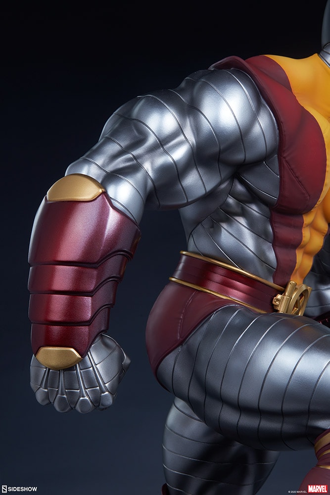 Colossus Collector Edition View 14