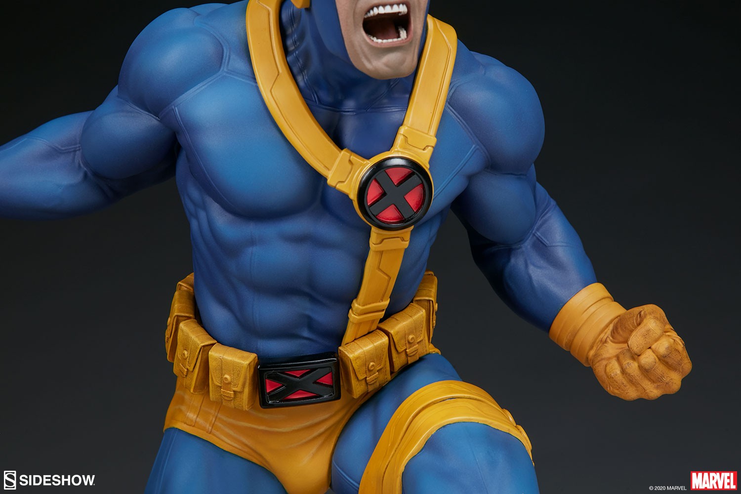 Cyclops View 13