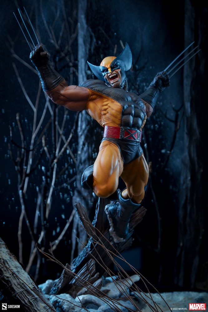 Wolverine Collector Edition View 1