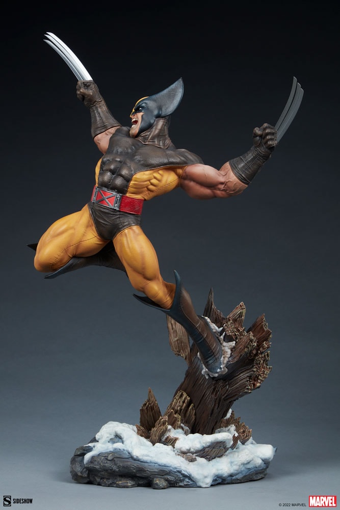 Wolverine Collector Edition View 24