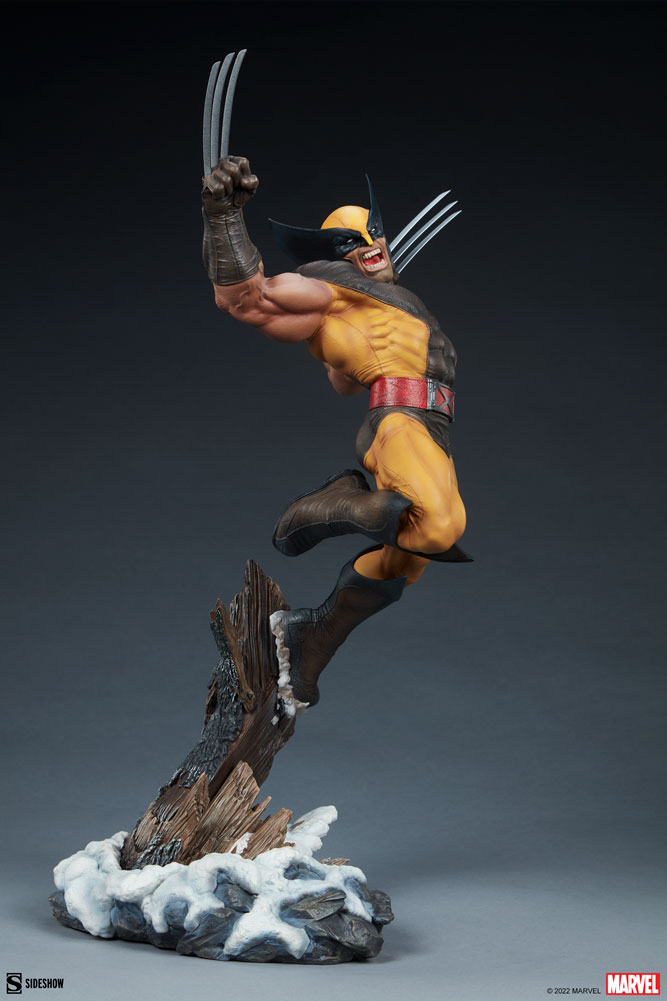 Wolverine Collector Edition View 20