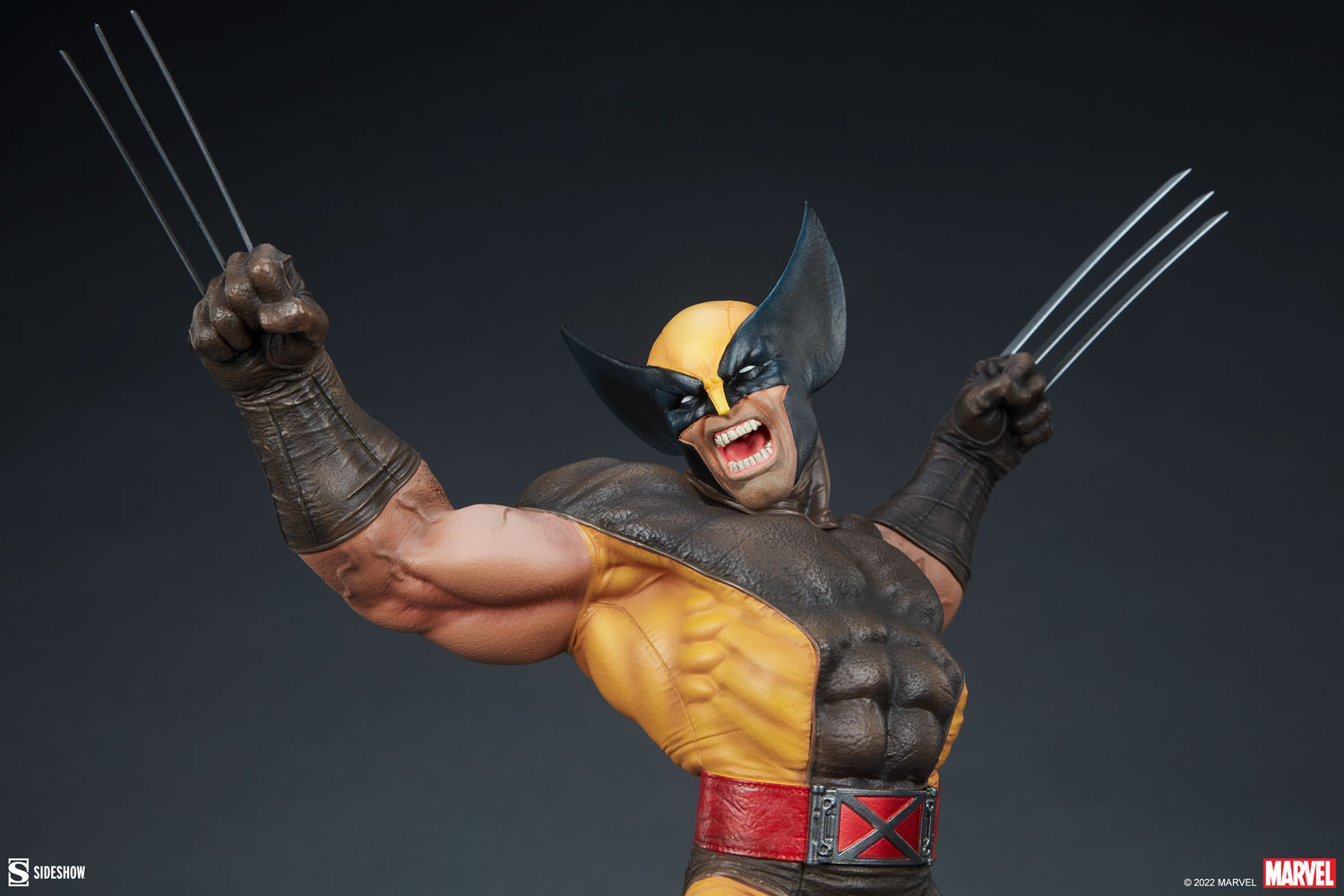 Wolverine Collector Edition View 19