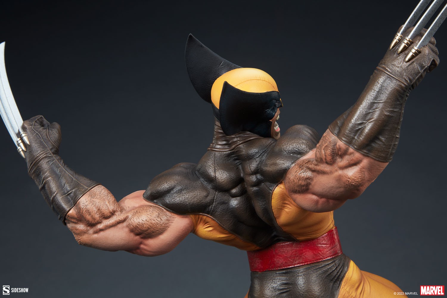 Wolverine Collector Edition View 15