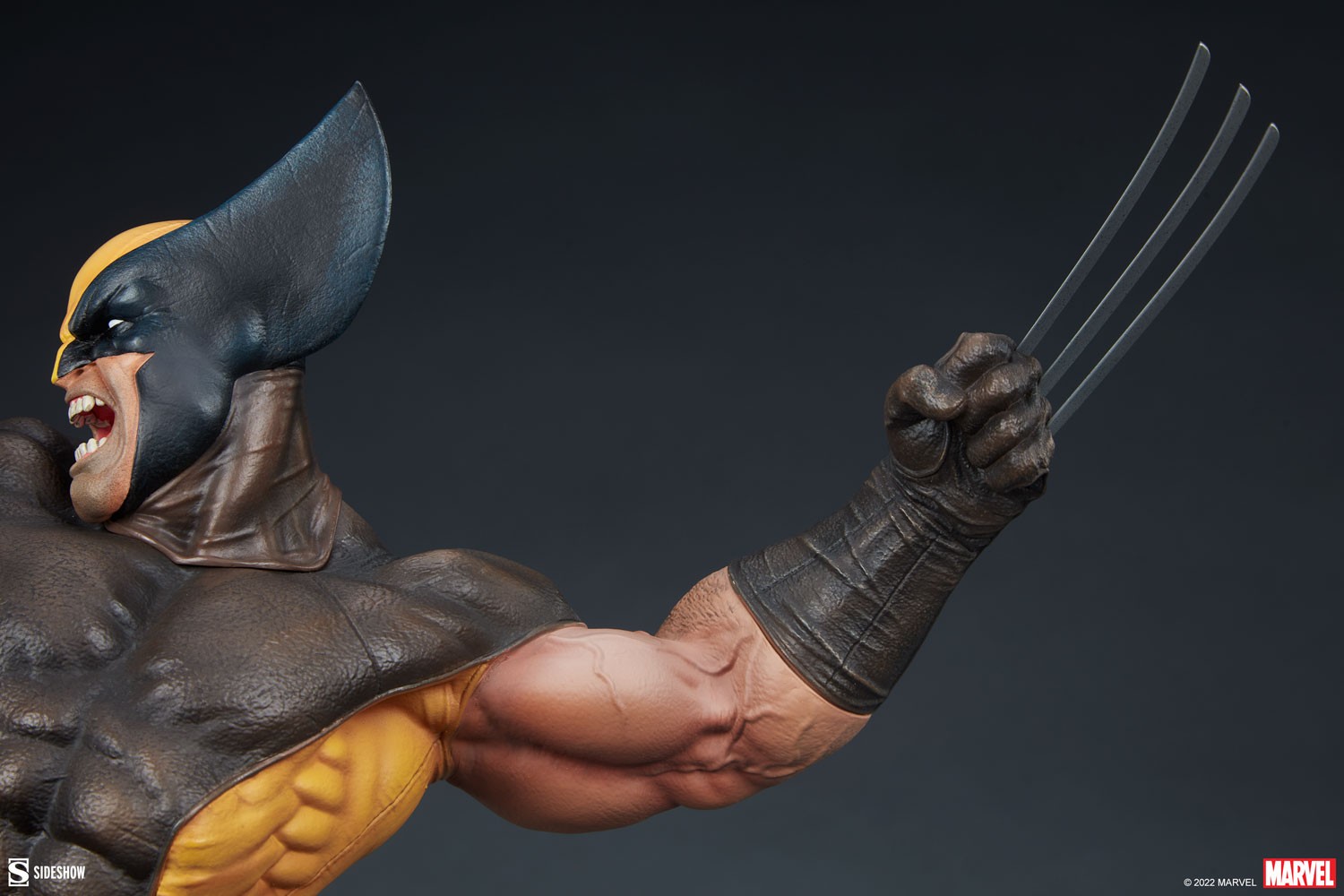 Wolverine Exclusive Edition View 10