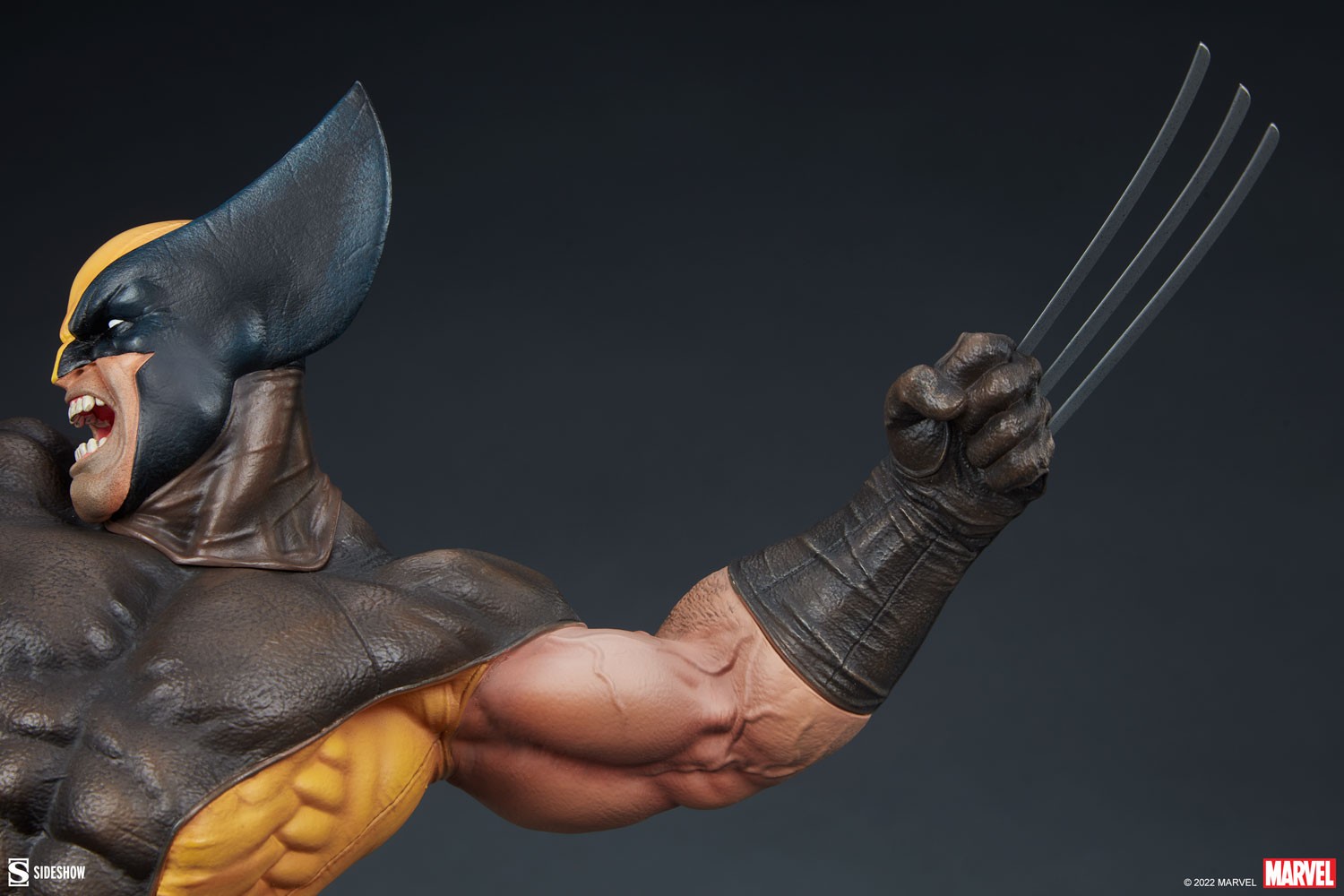 Wolverine Collector Edition View 2