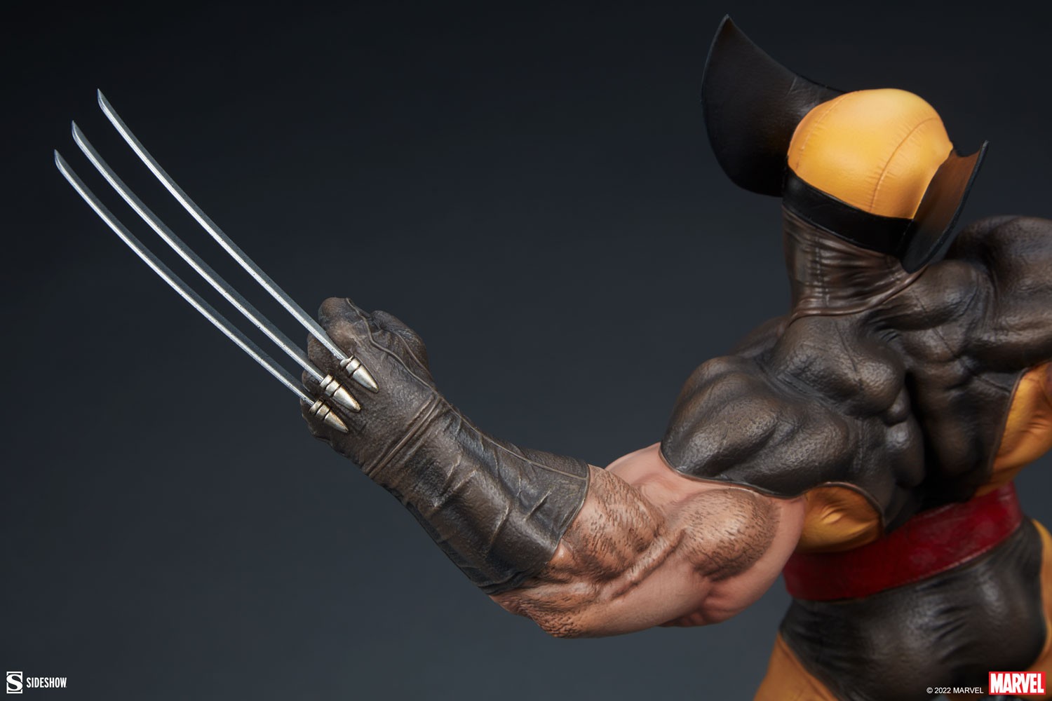 Wolverine Collector Edition View 14