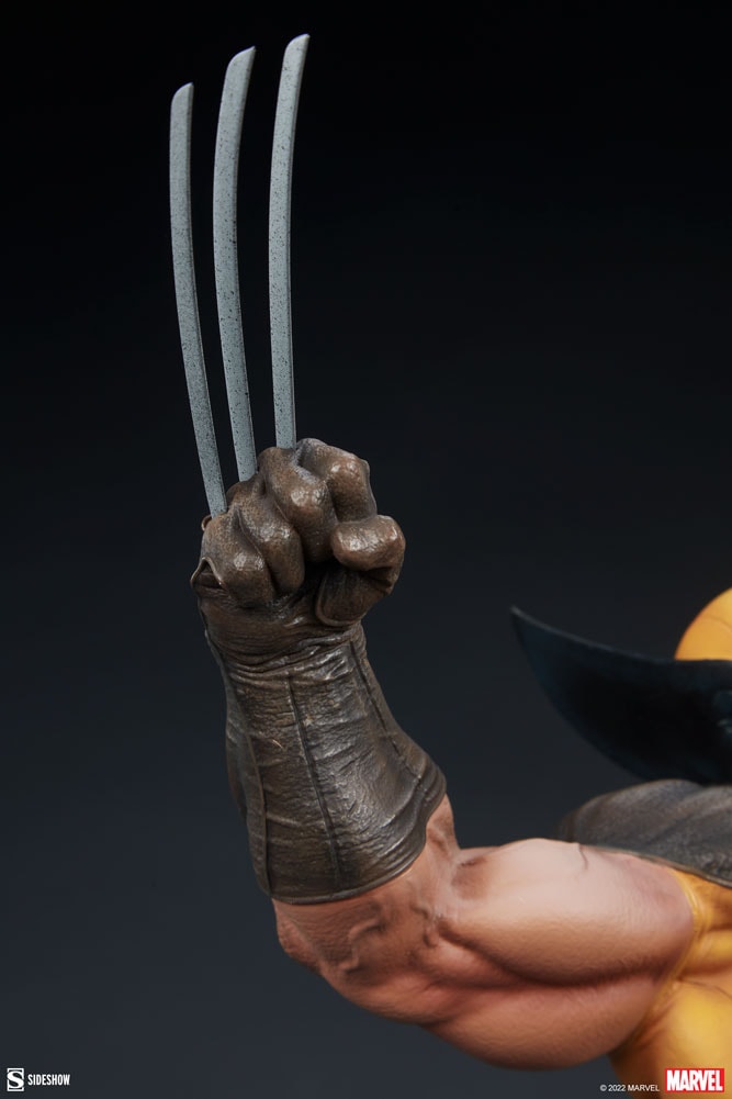 Wolverine Collector Edition View 13