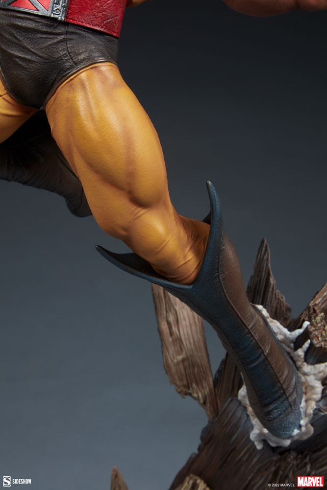 Wolverine Collector Edition View 10