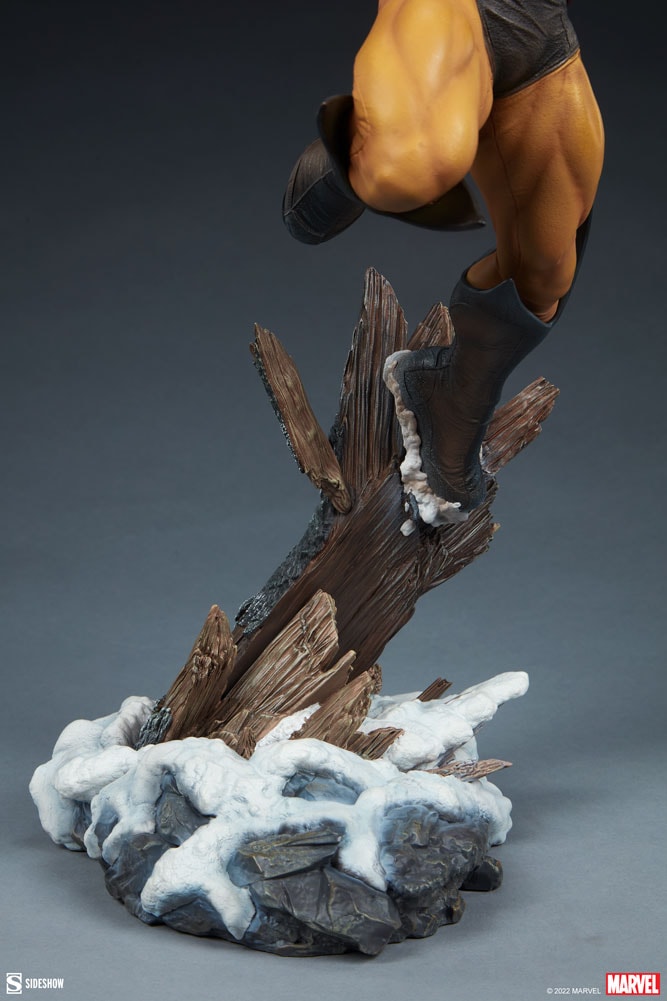Wolverine Collector Edition View 8