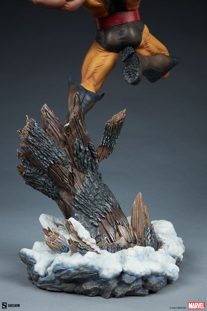 Wolverine Collector Edition View 7