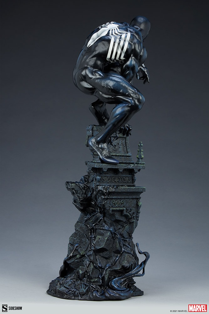 Symbiote Spider-Man View 19