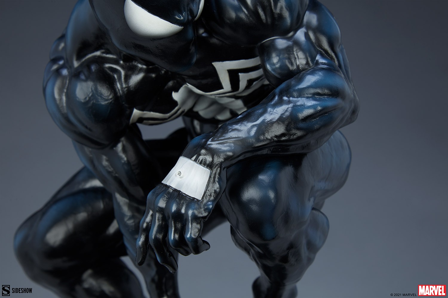 Symbiote Spider-Man View 17