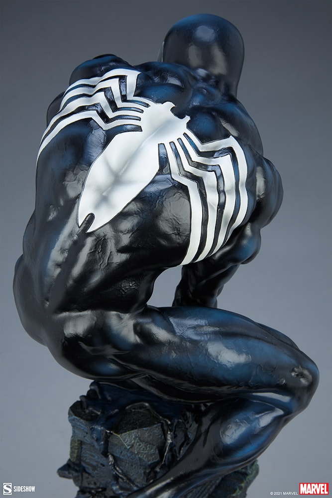 Symbiote Spider-Man View 17