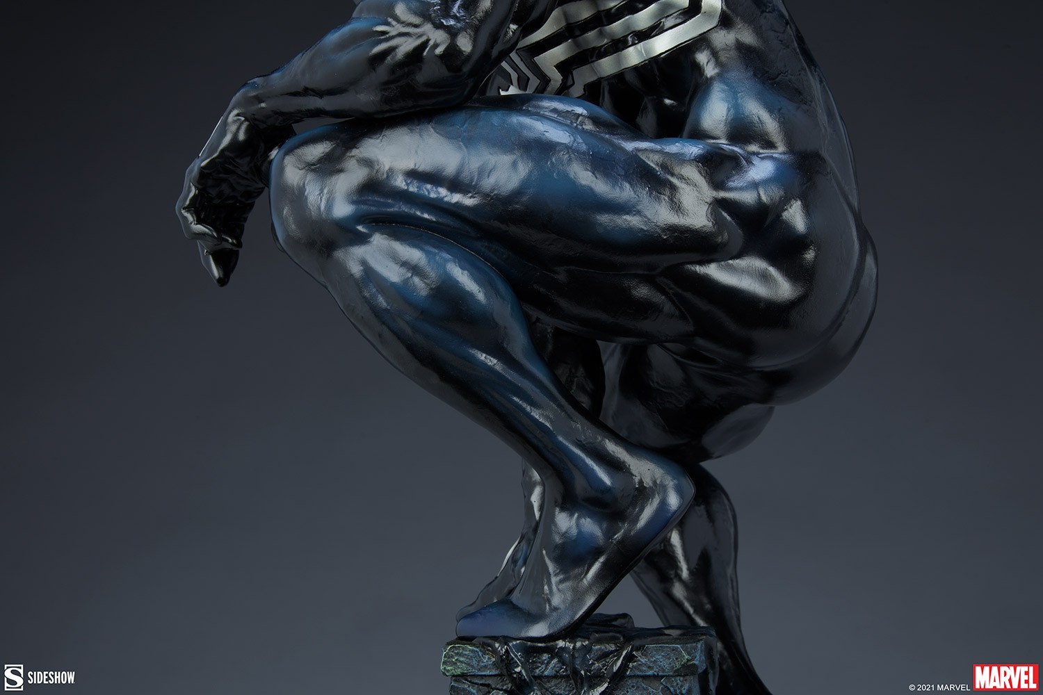 Symbiote Spider-Man View 16