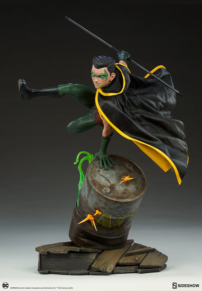 Robin Collector Edition View 28