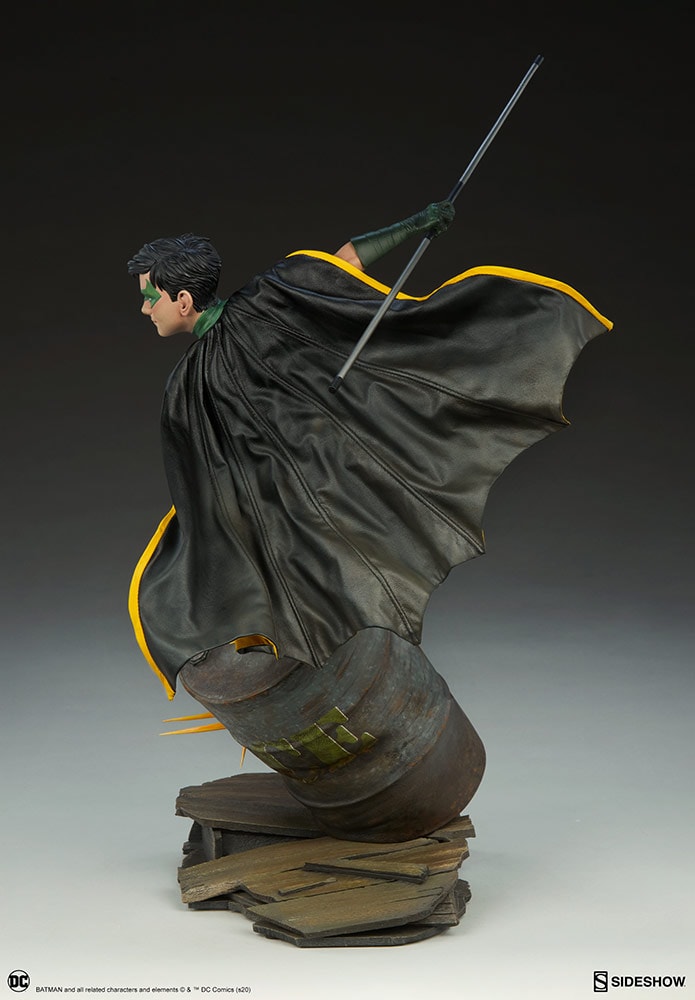 Robin Collector Edition View 27