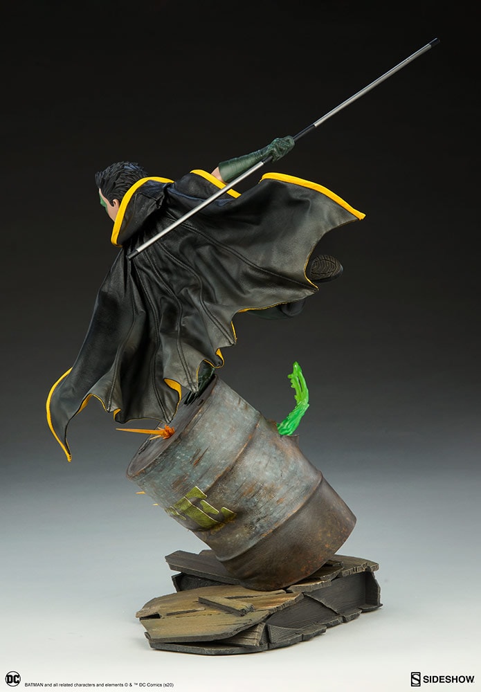 Robin Collector Edition View 26