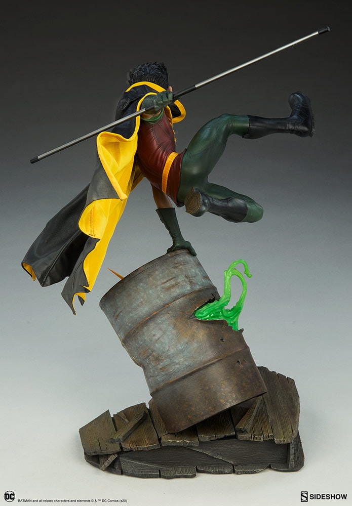 Robin Collector Edition View 25