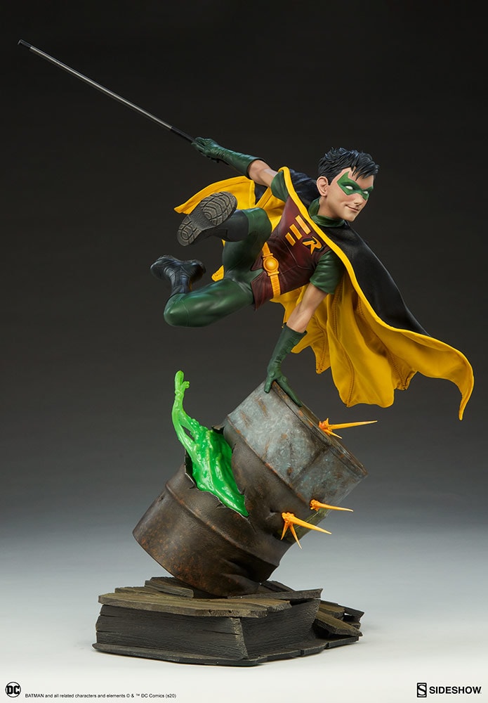 Robin Collector Edition View 22