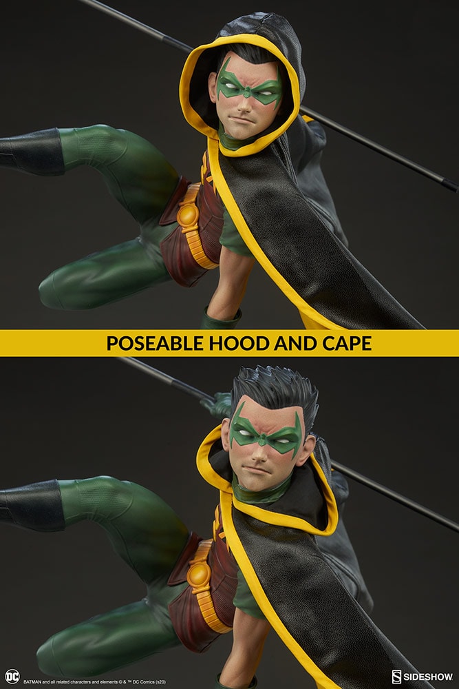 Robin Collector Edition View 21