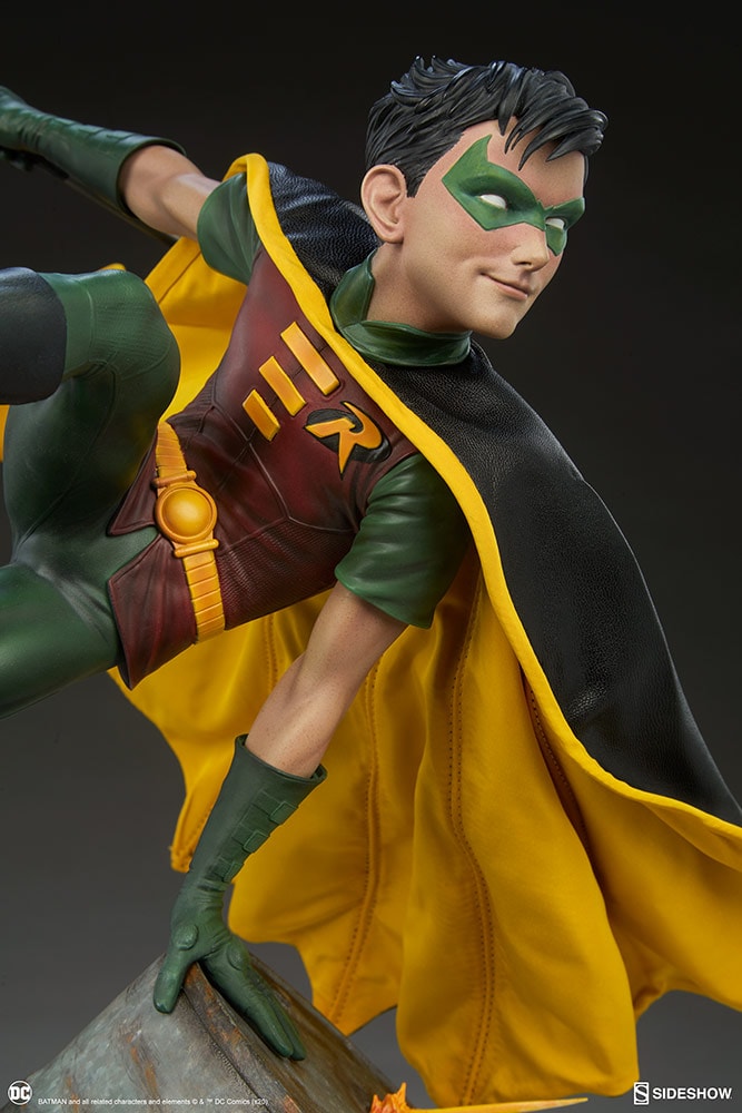 Robin Collector Edition View 19