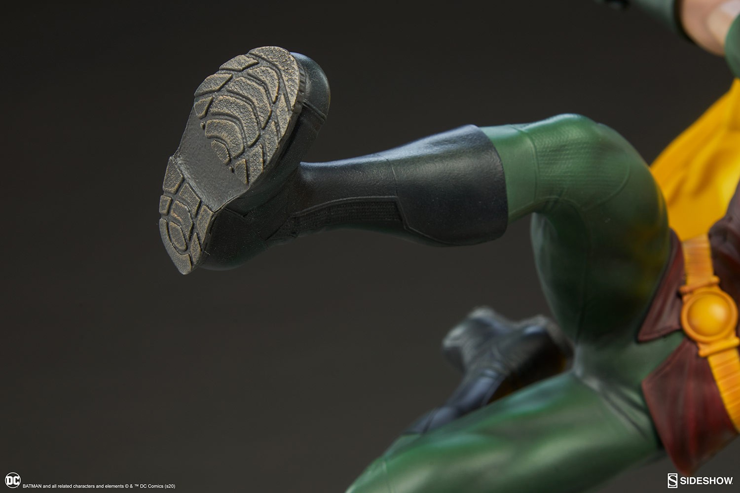 Robin Collector Edition View 15
