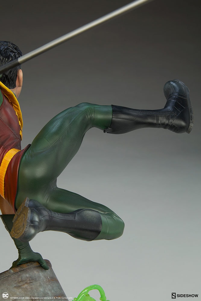 Robin Collector Edition View 14