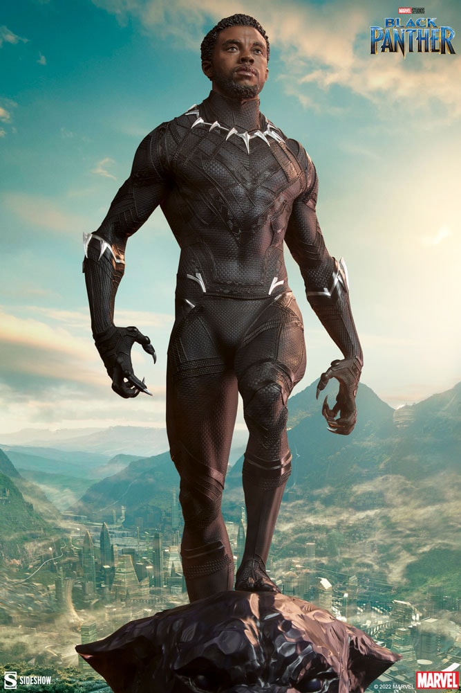 Black Panther View 4
