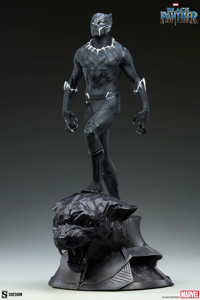 Black Panther View 8