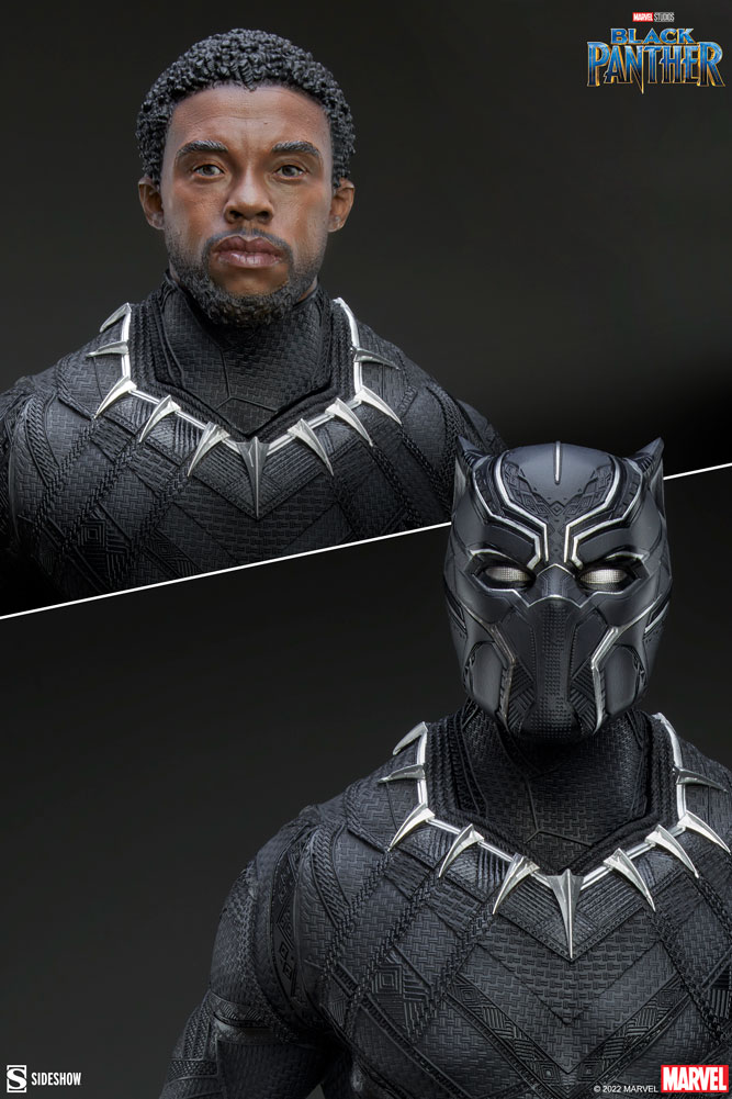 Black Panther View 14