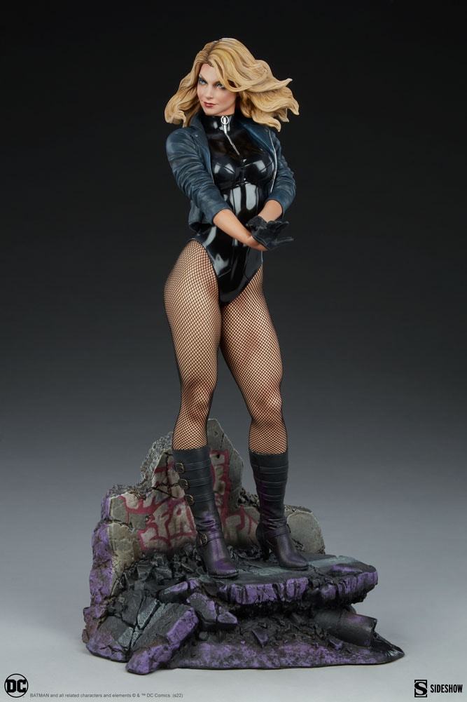 Black Canary View 23