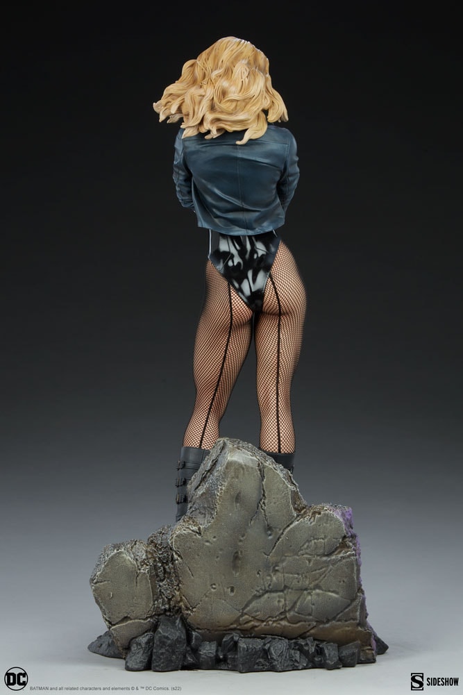 Black Canary View 20